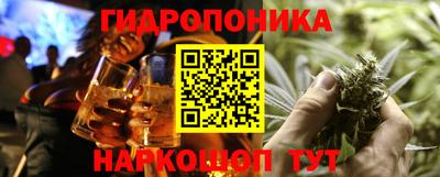 гидра Аргун