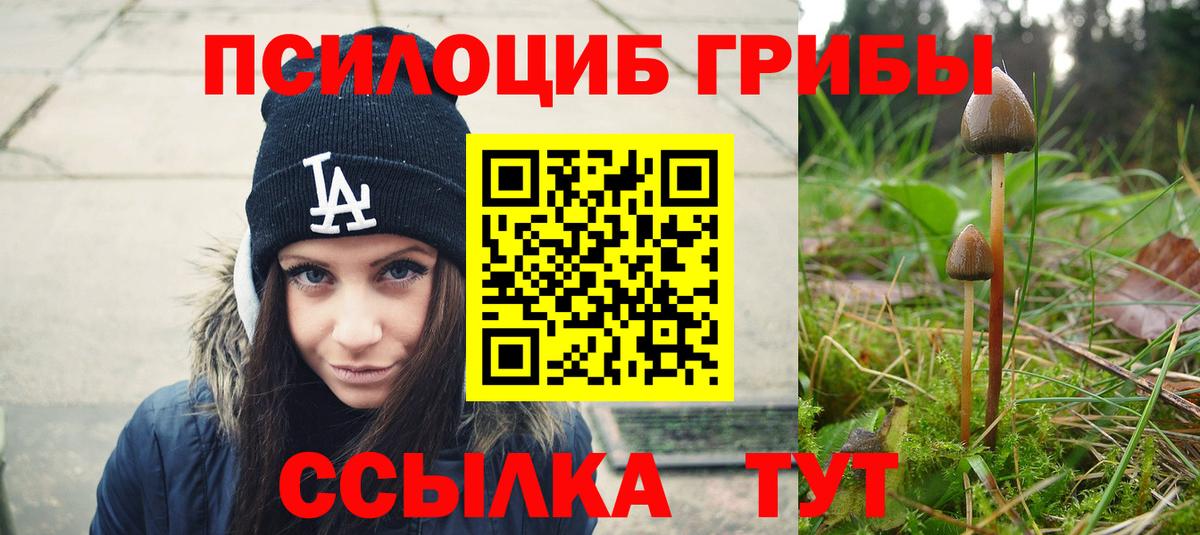 Вичуга  Галлюциногенные грибы мухоморы  купить  цена  Вход с VPN 