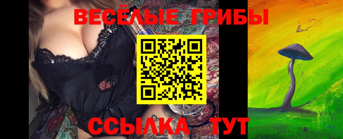 Псилоцибиновые грибы Psilocybine cubensis Вичуга